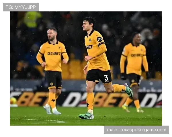 狼队2-2战平水晶宫,保级路上再拿一分 狼队2-2战平水晶宫,保级路上再拿一分